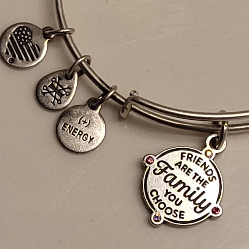 Alex & Ani Friends Are The Family You Choose Charm Bangle Bracelet Silver-tone - Picture 7 of 16